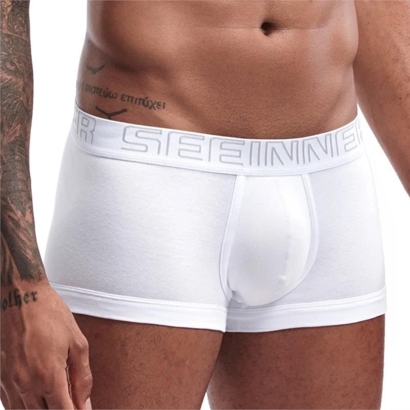 Мужские шорты-боксеры Seeinner – обзор и цена Boxer Brief Pack Cotton